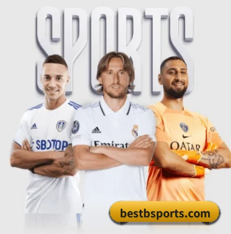 五个功能入口,赛程查询路径更短（bsport）