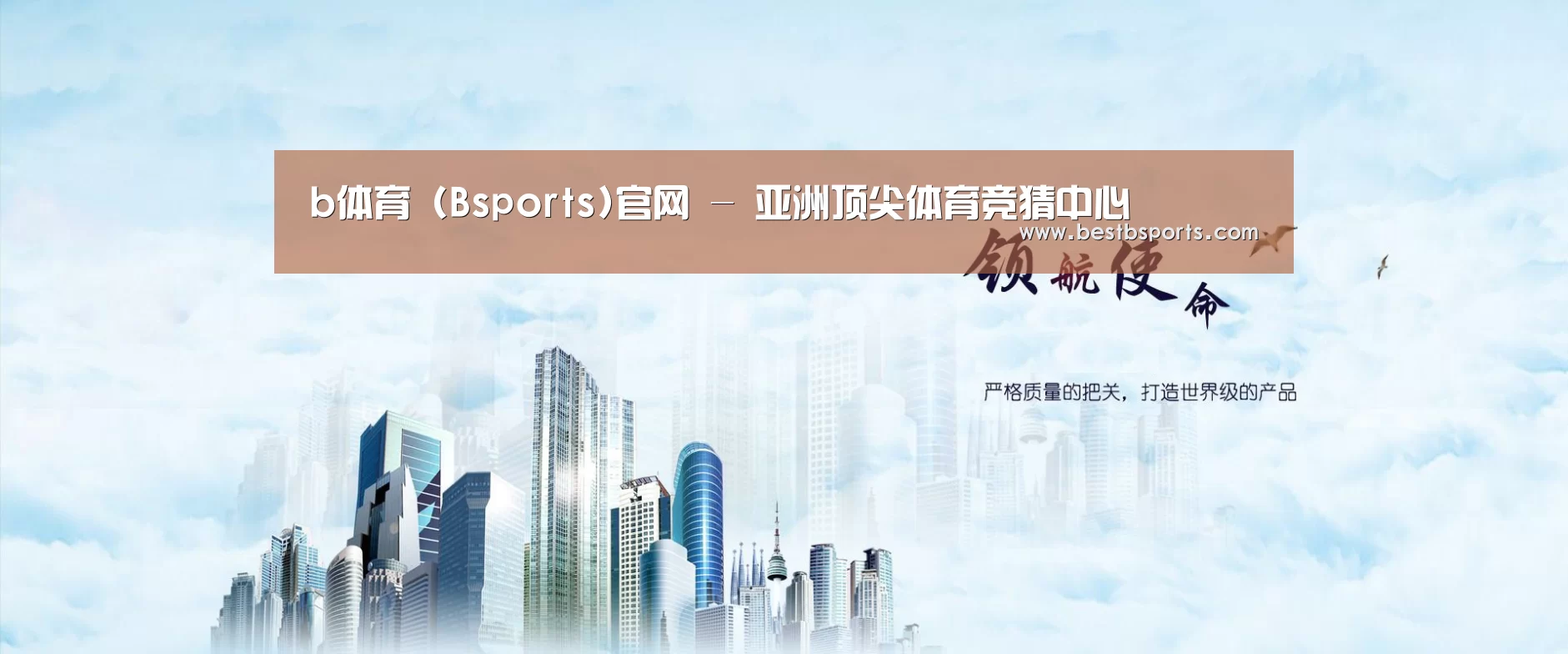 bsport公司