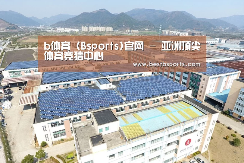 案例展示四