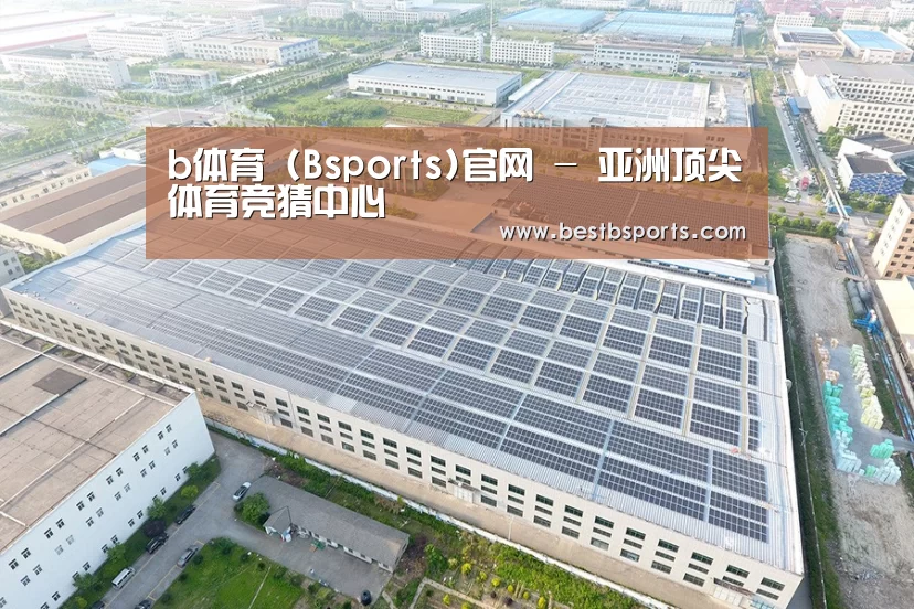 案例展示三