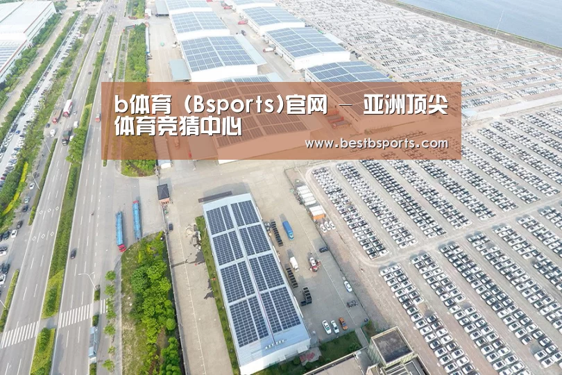 案例展示一