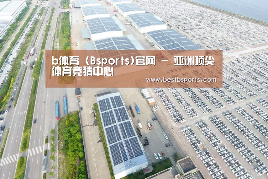 案例展示四