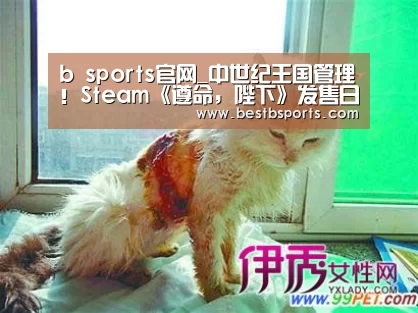 b sports官网_中世纪王国管理!Steam《遵命,陛下》发售日确定(图3) b sports官网_中世纪王国管理!Steam《遵命,陛下》发售日确定(图3)