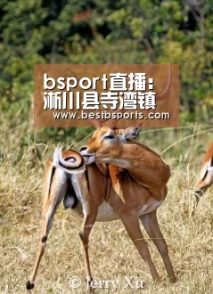 bsport直播:淅川县寺湾镇中心学校:下足绣花功夫做实学生资助工作(图2) bsport官网